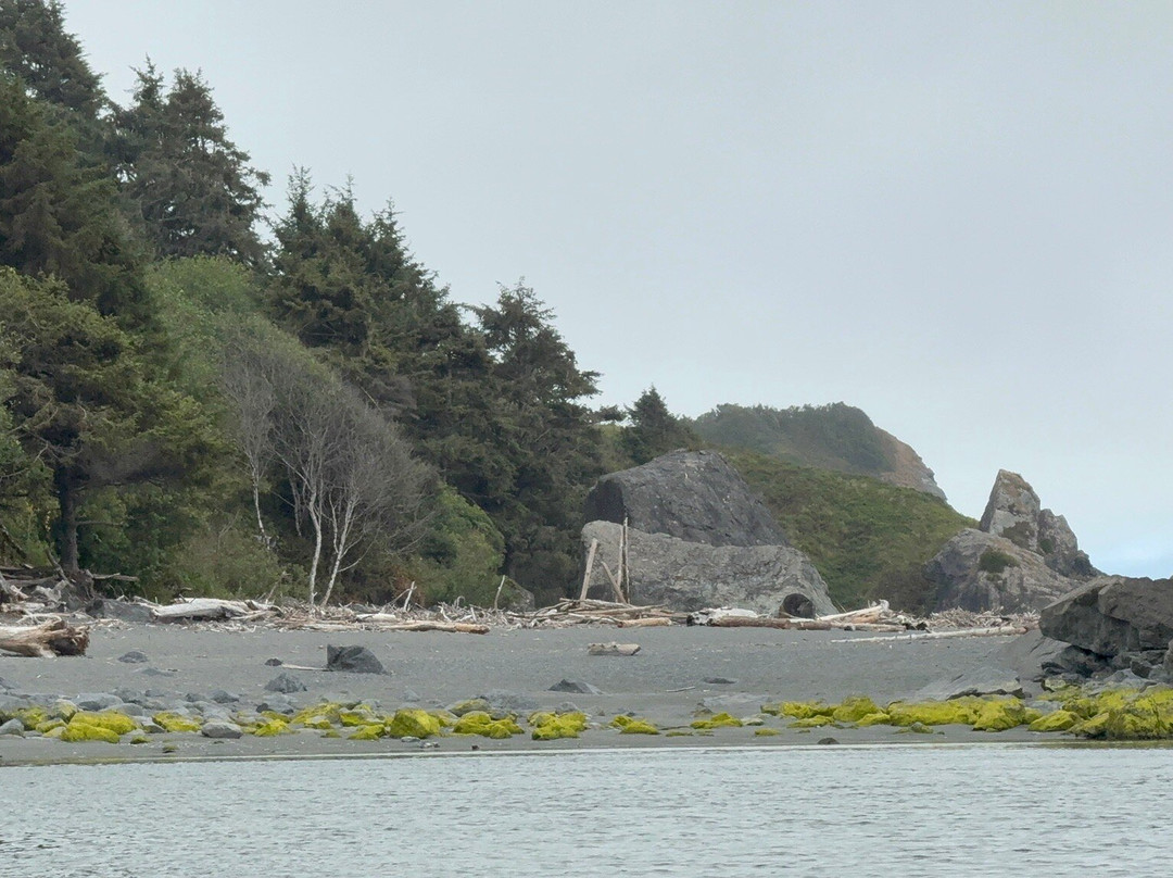 Klamath River Jet Boat Tours-克拉马斯必去景点