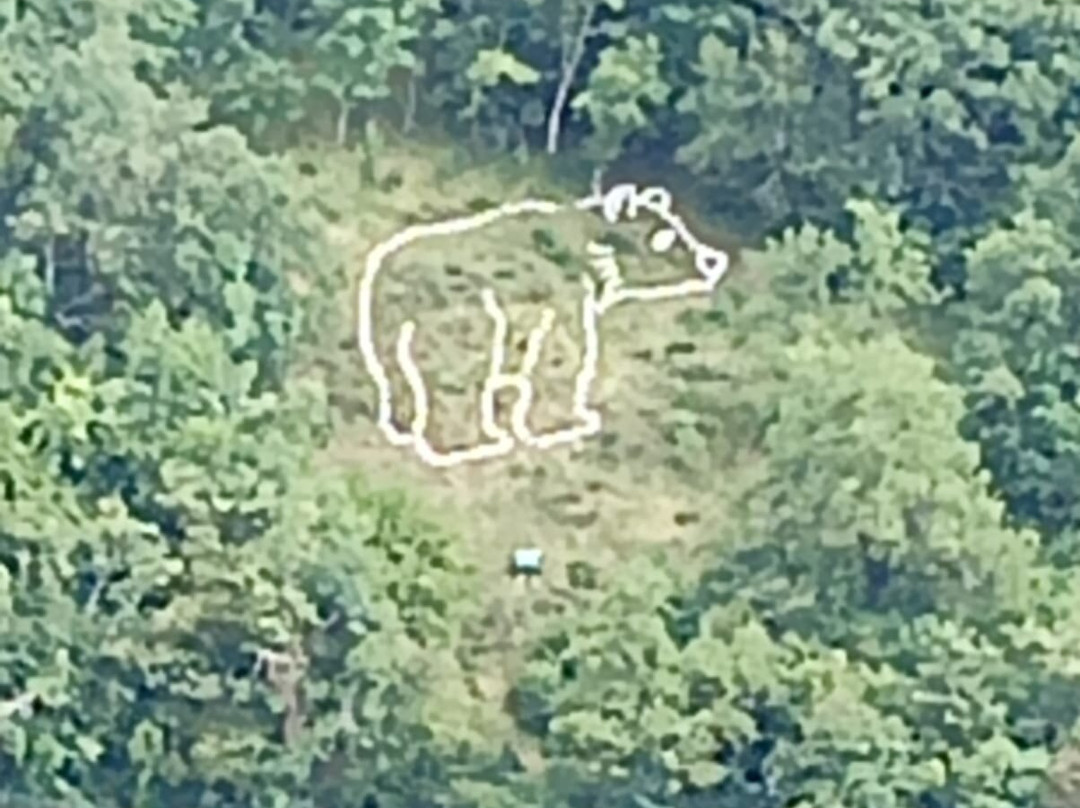 Area Faunistica Orso Bruno Marsicano-Campoli Appennino必去景点