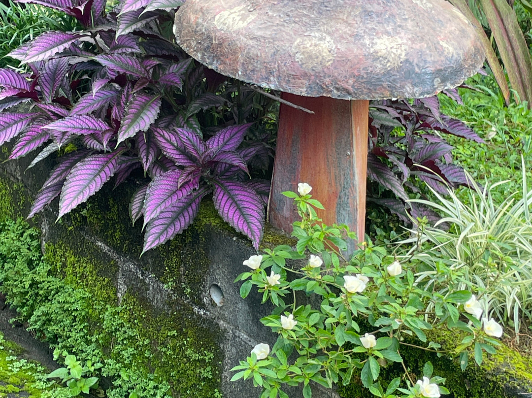 Lucky Bug B & B主图