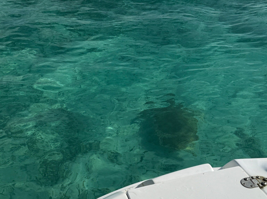 Turkoise wave adventure-格雷斯湾必去景点