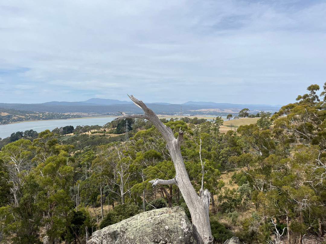 Brady's Lookout-Rosevears必去景点
