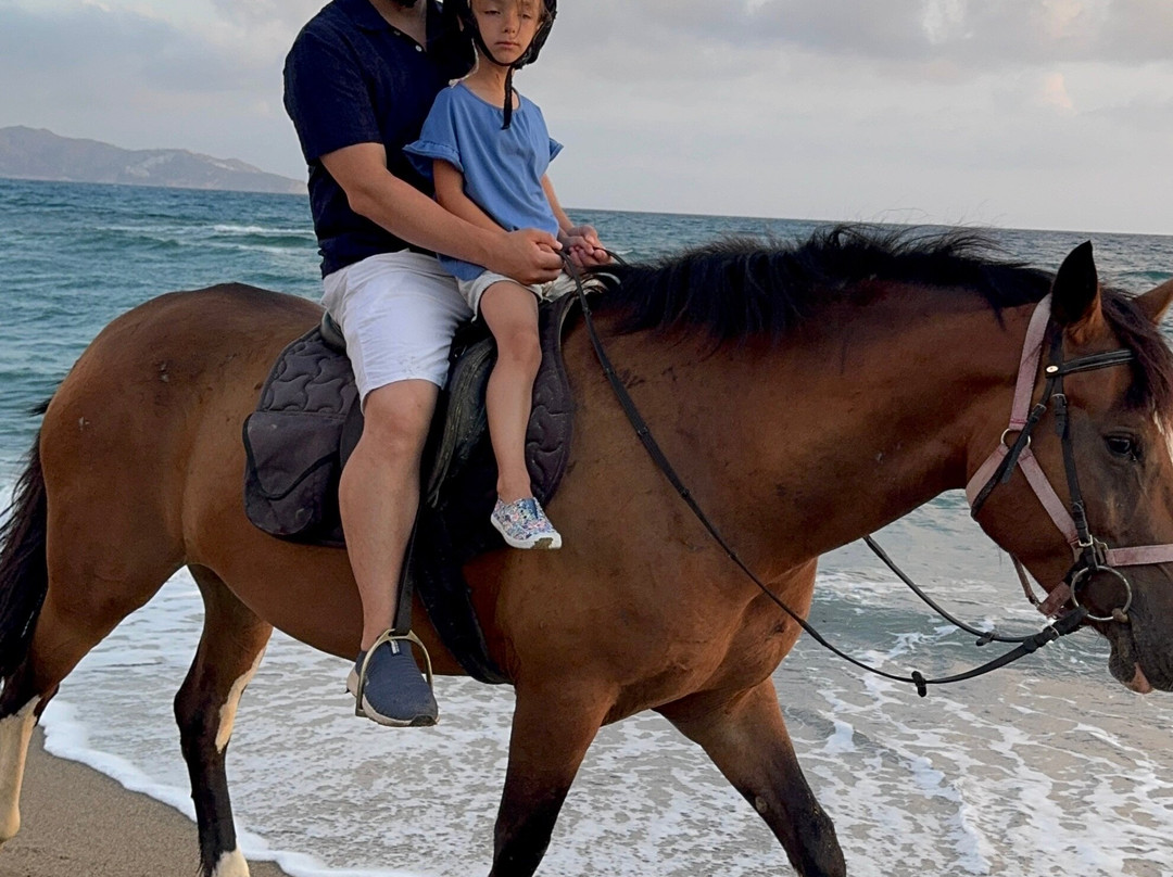 Hersonissos Horseriding-Finikia必去景点