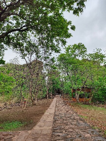 Bhimbetka Caves-Raisen必去景点