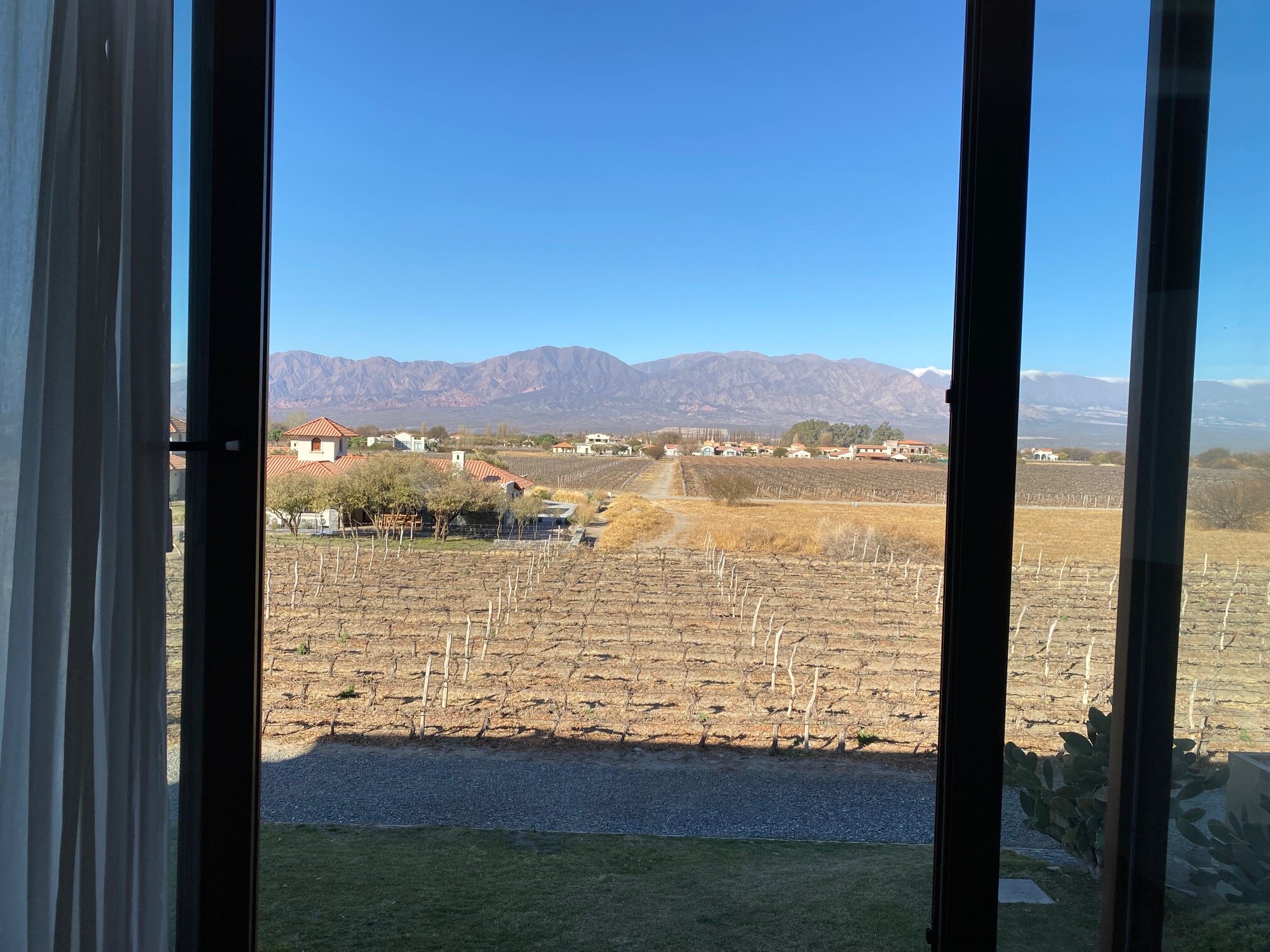 Grace Cafayate-官方