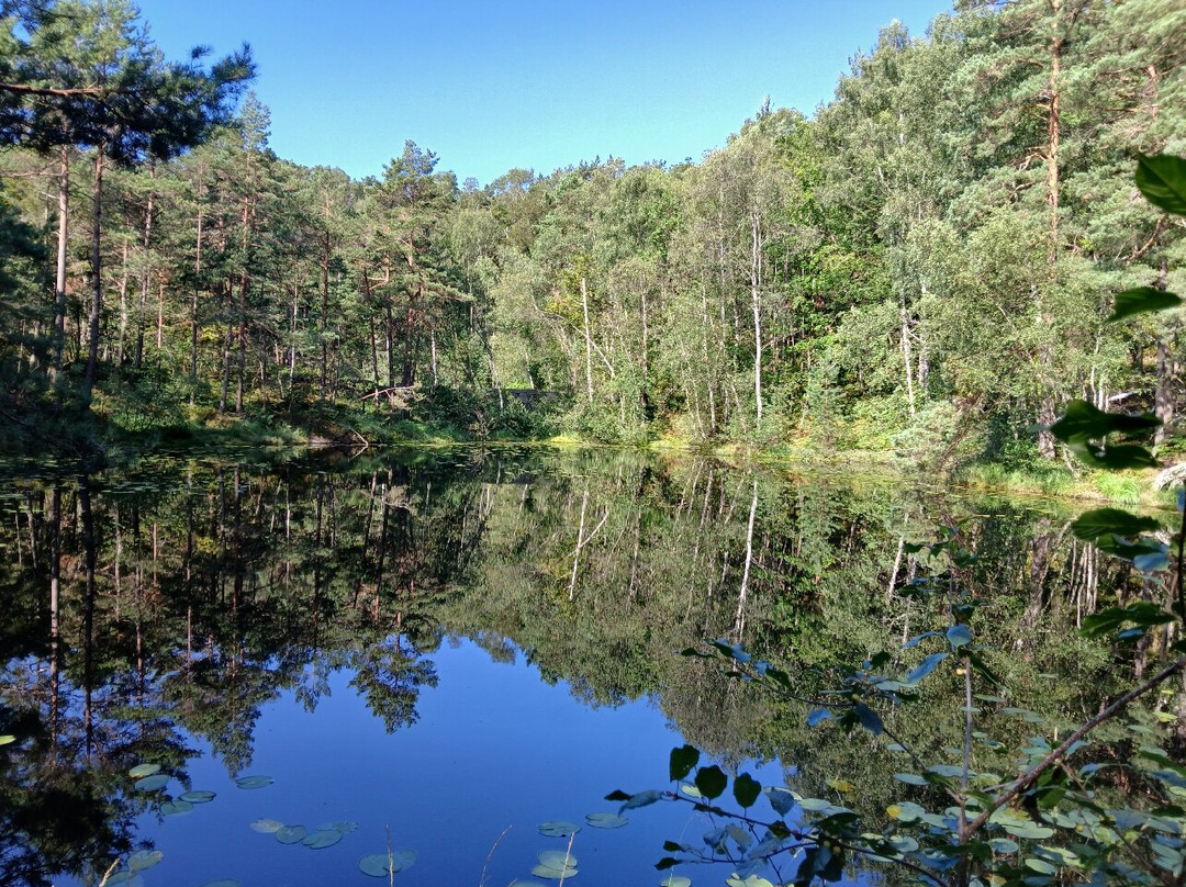 Baneheia-克里斯蒂安桑必去景点