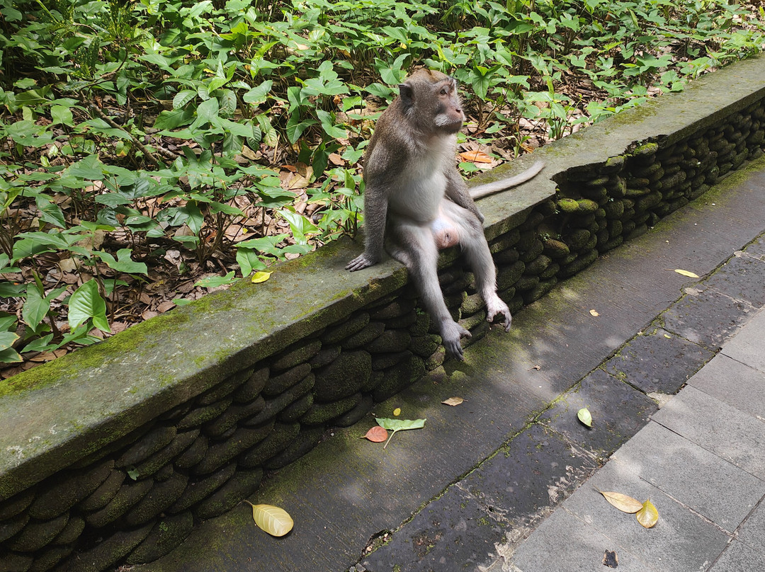 Kuta Transport-登巴萨必去景点