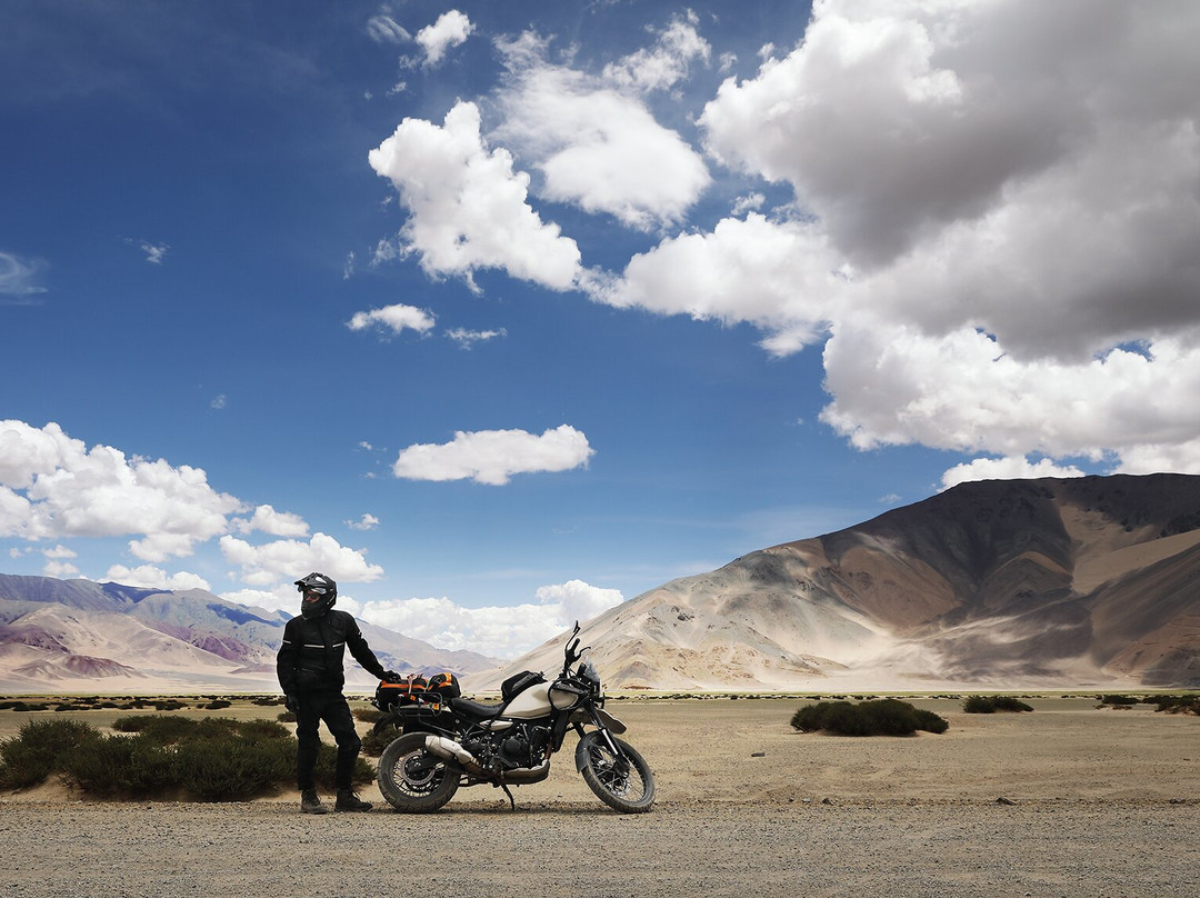 BRM Expeditions-Vashisht必去景点