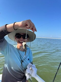 Dauphin Island Marina-Dauphin Island必去景点