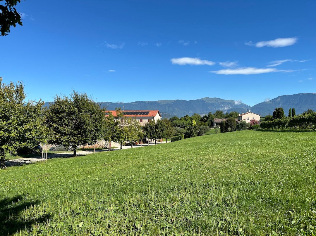 Al Vecchio Convento - Tenuta Malvolti