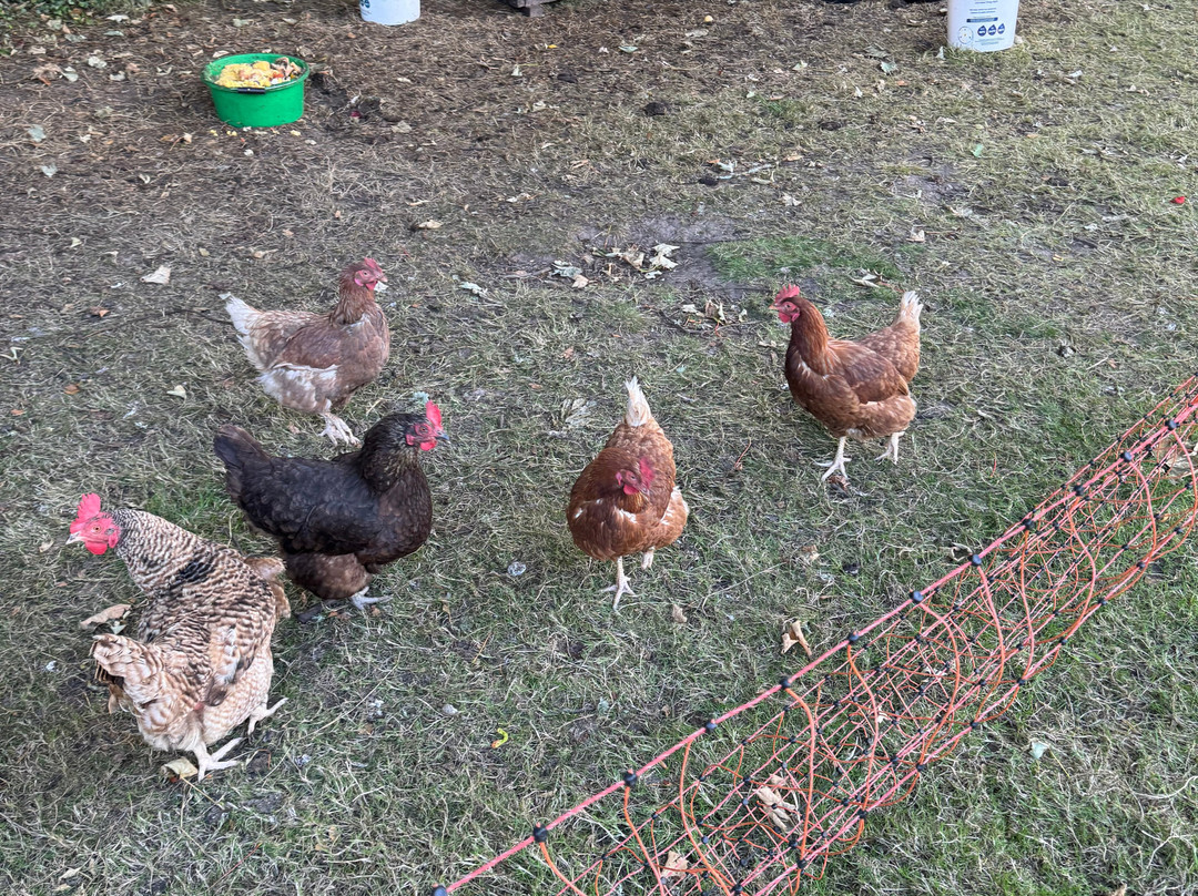 Kilmahon House Guest Accomodations主图