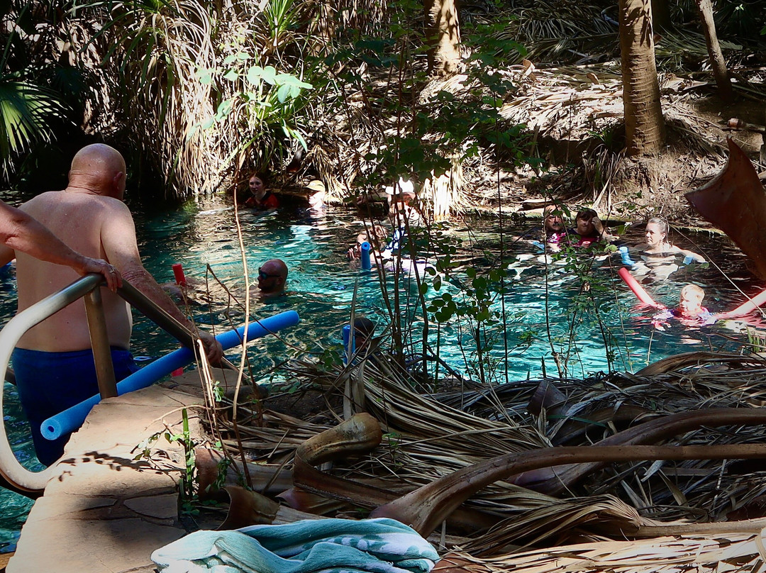 Mataranka Thermal Pool-Mataranka必去景点