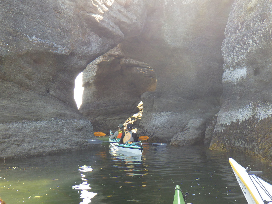 Island Römer Adventures-纳奈莫必去景点
