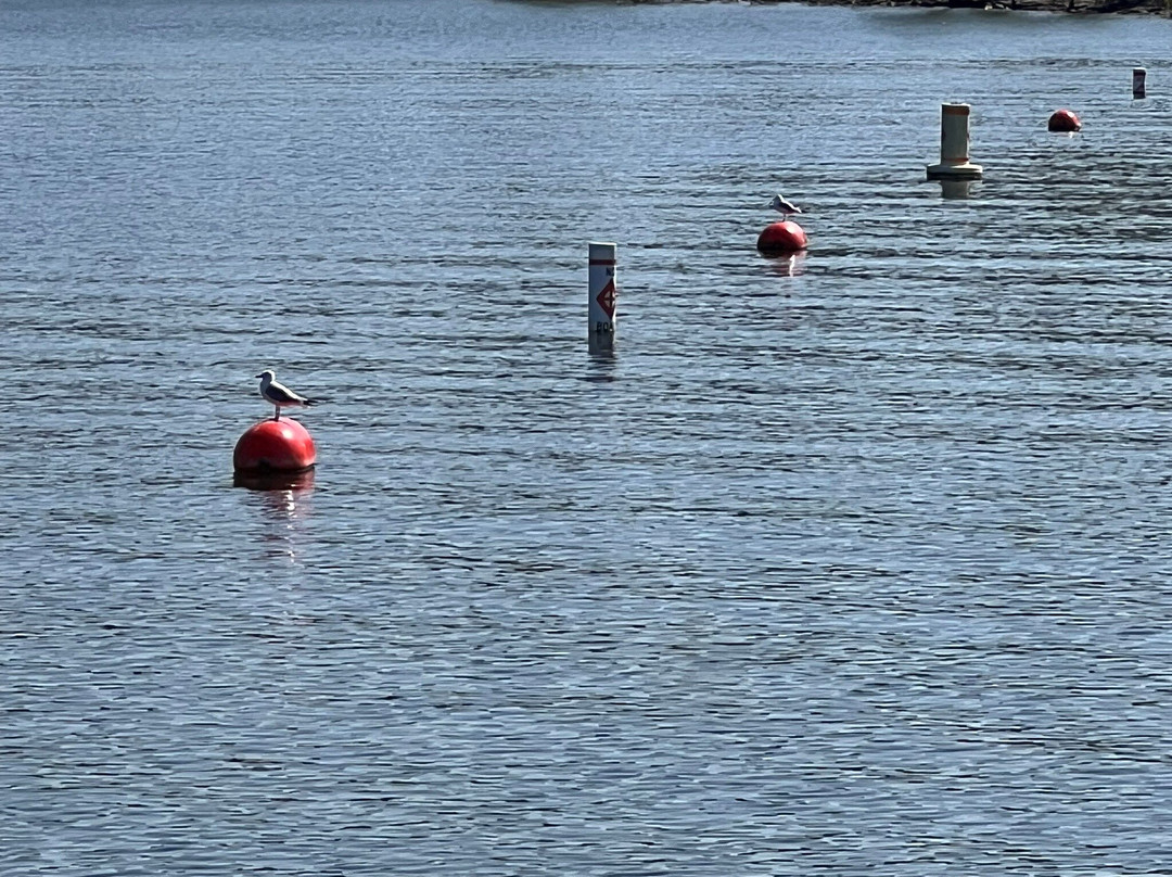 Moonshine Beach-布兰森必去景点
