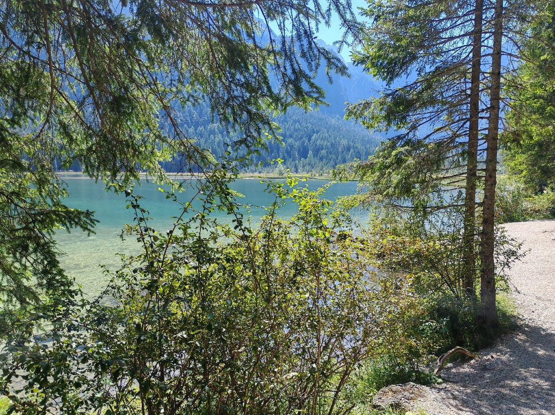 Lago di Dobbiaco-多比亚科必去景点