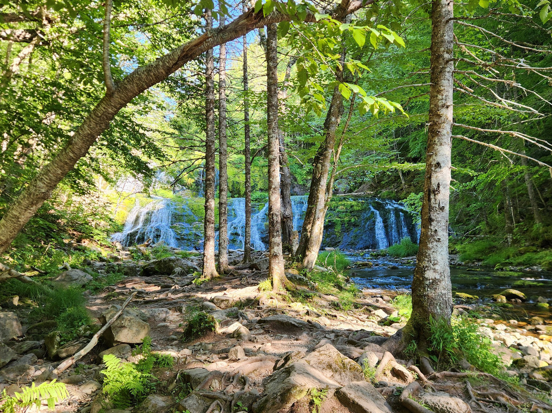 Egypt Falls-Margaree Harbour必去景点