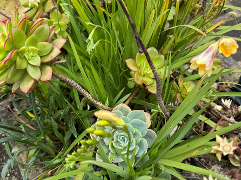 Finca El Imperio-波哥大必去景点