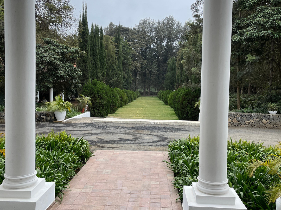 Amani Safari Lodge主图