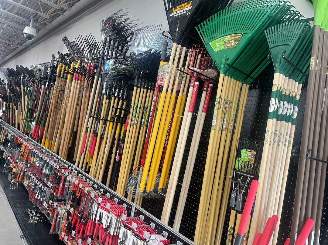 Grange Co-op-雷丁必去景点