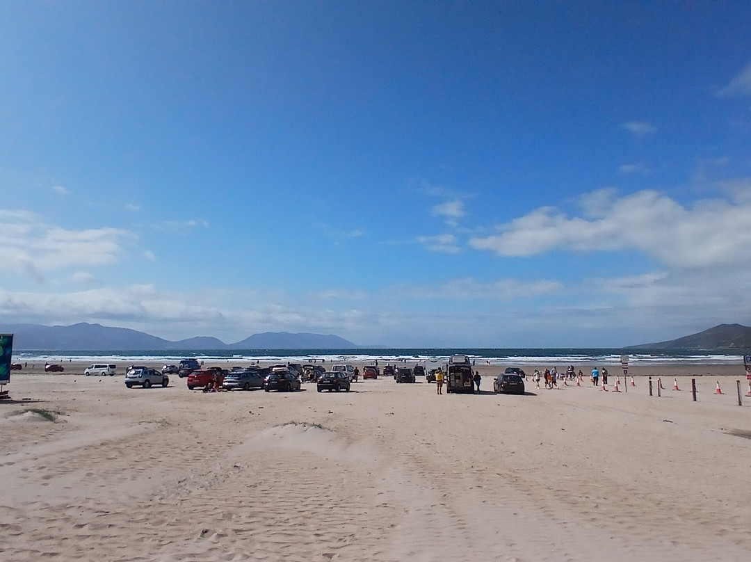 Dingle Bay-丁格尔必去景点