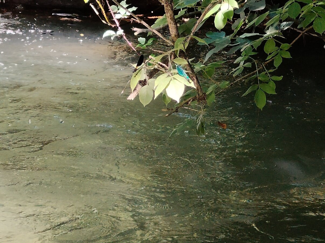 Cascate di Monte Gelato-Mazzano Romano必去景点