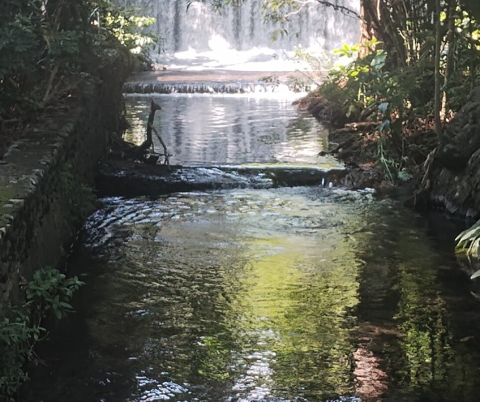 Parque Barranca Chapultepec-奎尔纳瓦卡必去景点