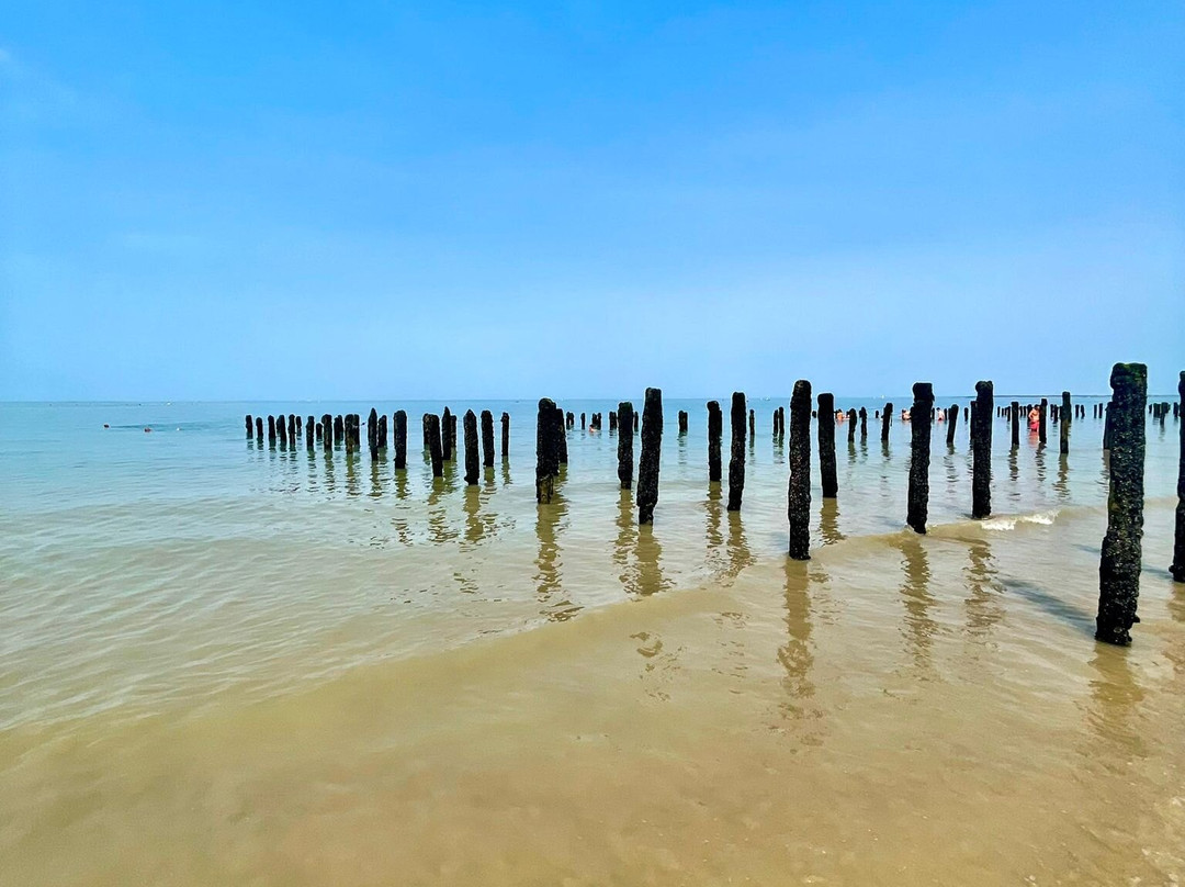 Saumonards Beach-Saint-Georges-d'Oleron必去景点