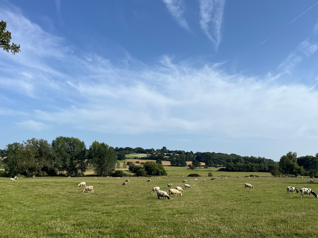 The Hare And Hounds主图