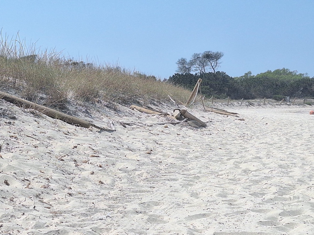 Es Cavall d'En Borràs Beach-拉萨维纳必去景点