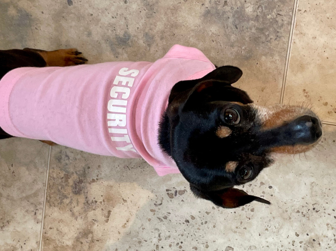 Palais Des Vaches-Exbury必去景点