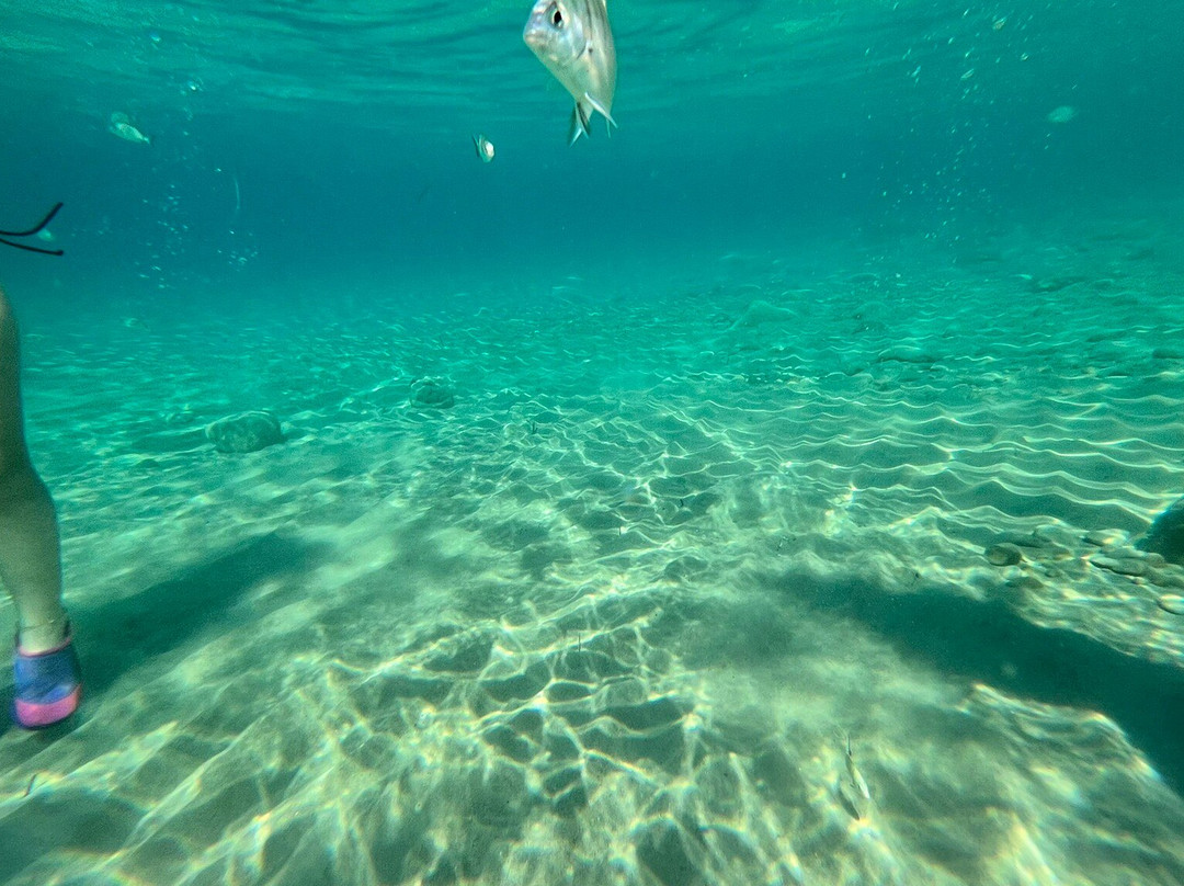 Arkoudilas Beach-Kavos必去景点