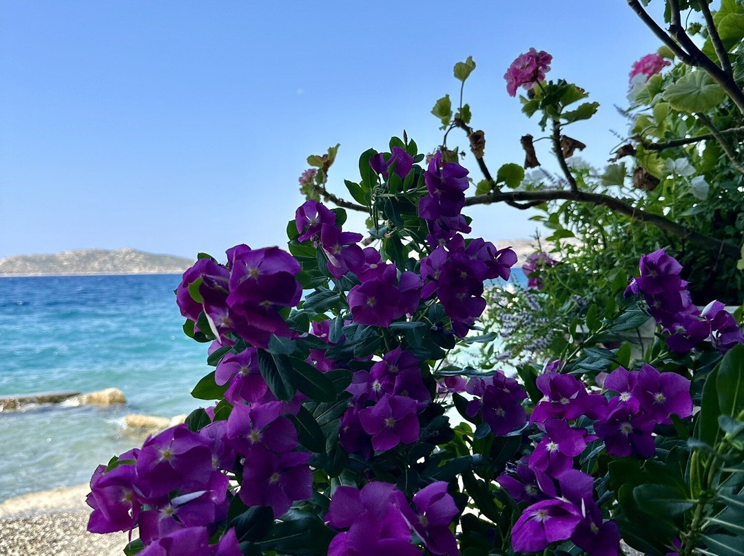 Yakamoz Restaurant & Pension主图