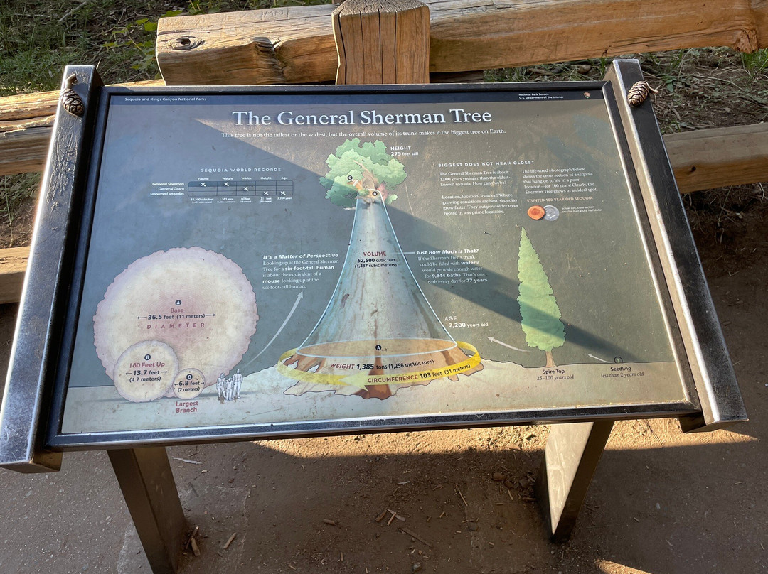 Sequoia National Park-维塞利亚必去景点