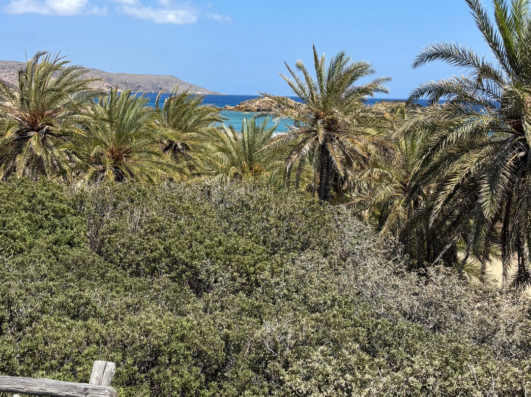 Archaeological Site of Itanos-Vai必去景点