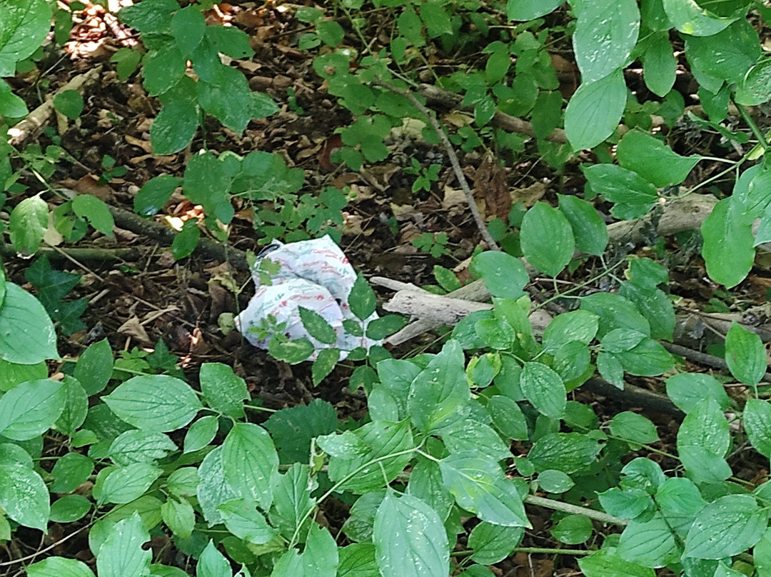 SentierElsa-埃尔萨谷口村必去景点