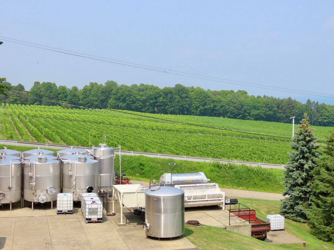 Glenora Wine Cellars-Dundee必去景点