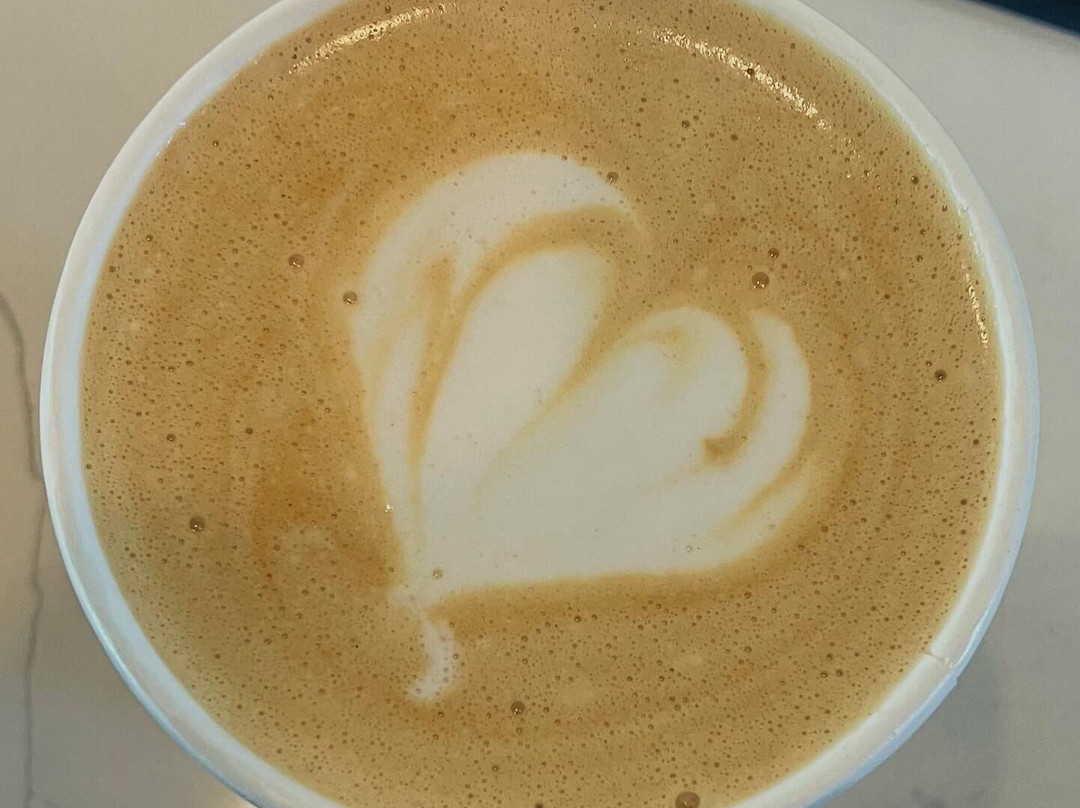 Old Moose Coffee & Events