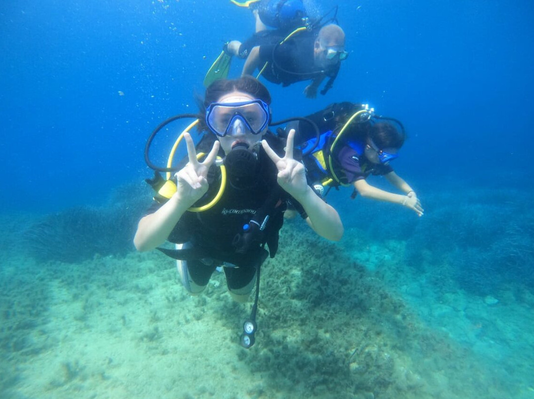 Gozo Dive-Xlendi必去景点