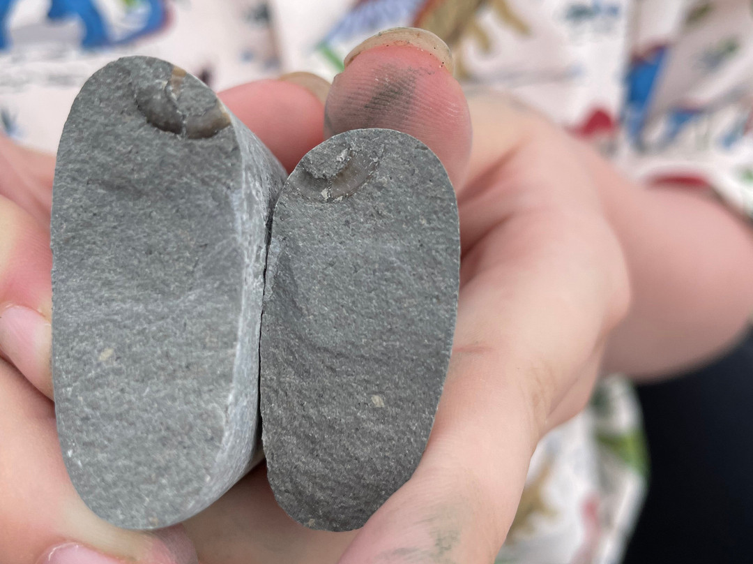 Hensleigh House主图