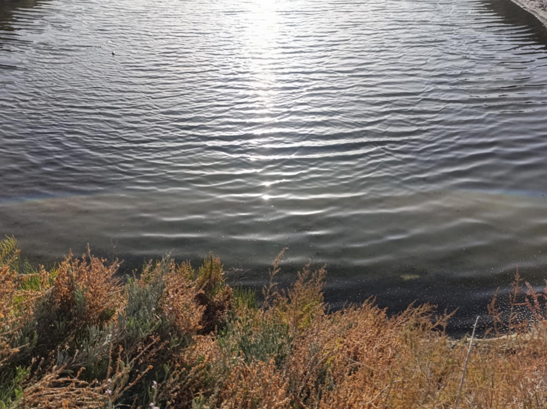 SPA Salino-Castro Marim必去景点