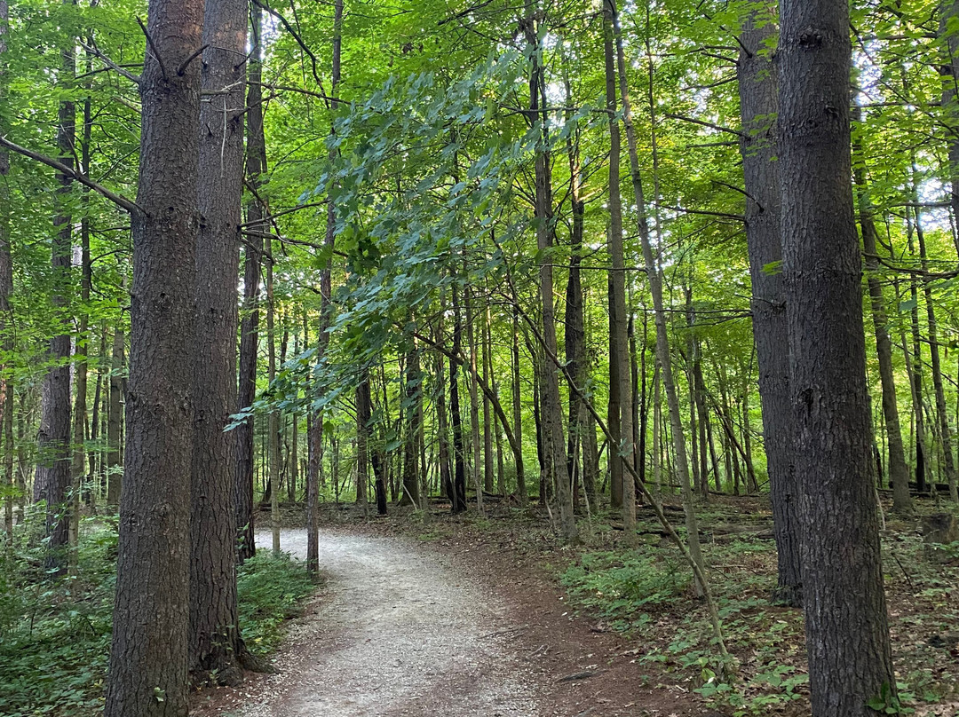 Charleston Falls Preserve-Tipp City必去景点