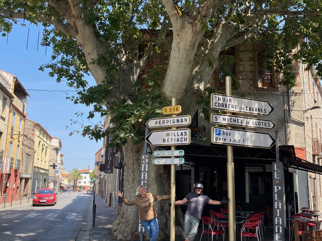 Le Platane, Ille-sur-tet, Frankrig