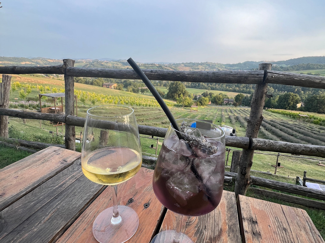 Azienda Agricola Valtresinaro-Viano必去景点
