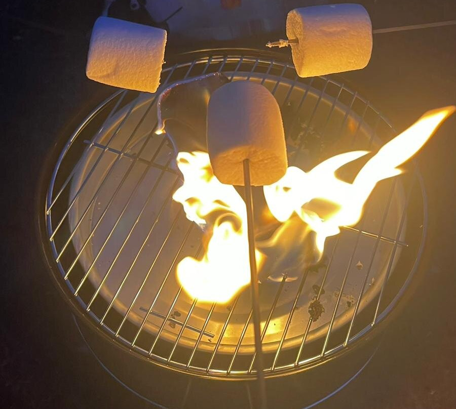 Avon Tyrrell Outdoor Activity Centre-Bransgore必去景点