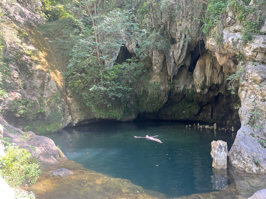 Horseback Riding Tours-特立尼达必去景点