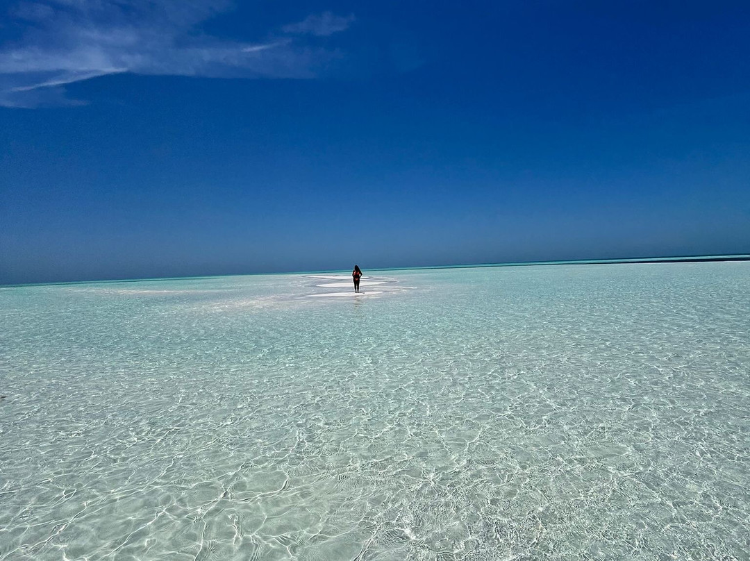 Long Island Boat Rentals-长岛必去景点