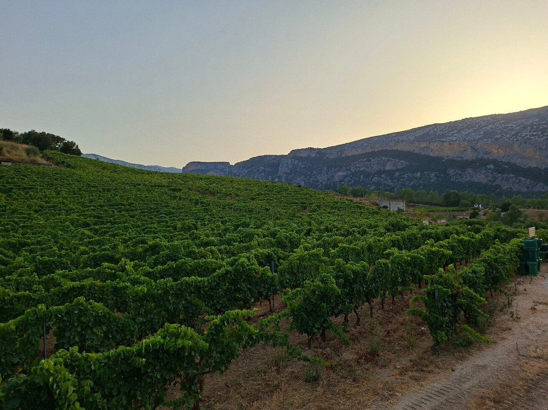 Wine Tasting Berritta-Dorgali必去景点