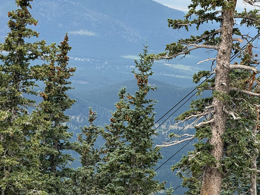 Residence Inn by Marriott Flagstaff主图