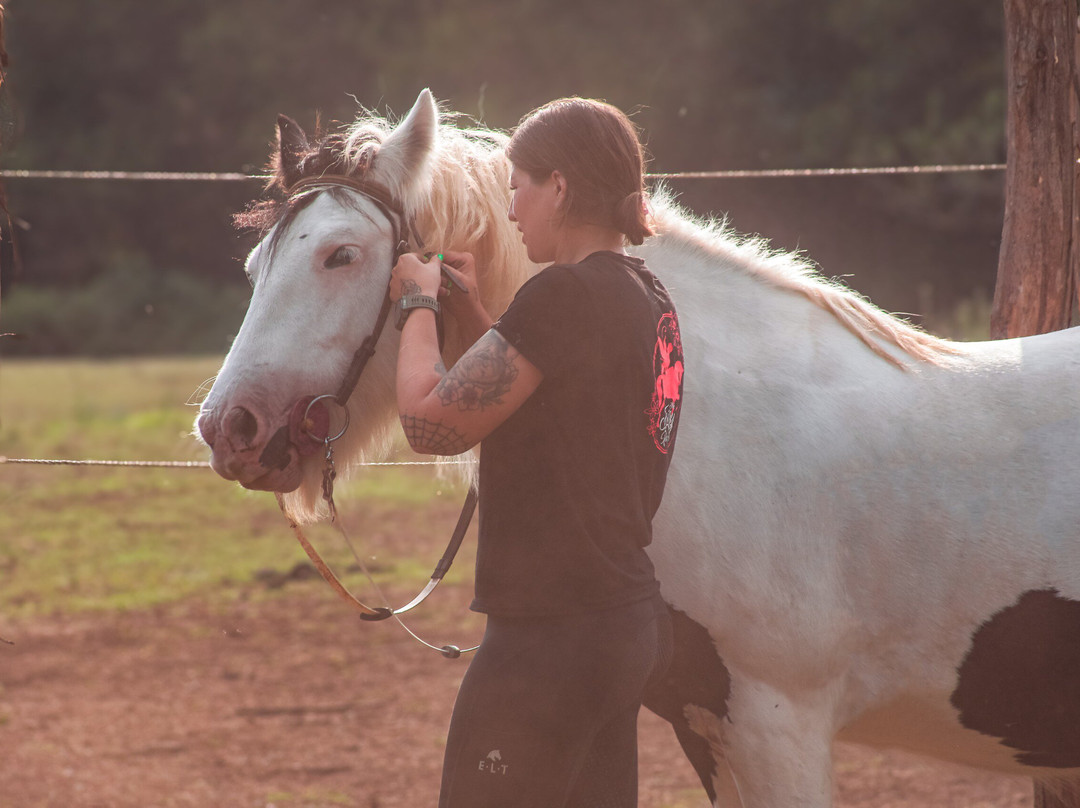 The Fairy Ranch-Rocca di Papa必去景点