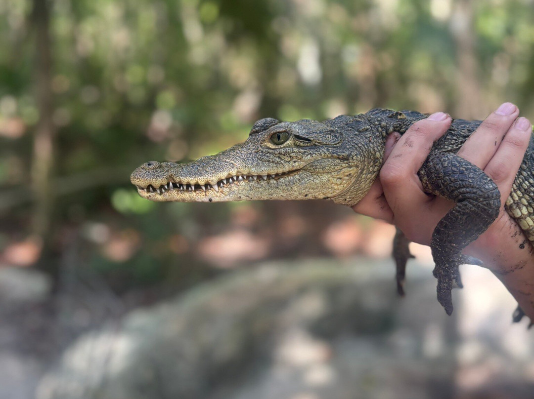 Toolok kaa'n-从莫雷洛斯港必去景点