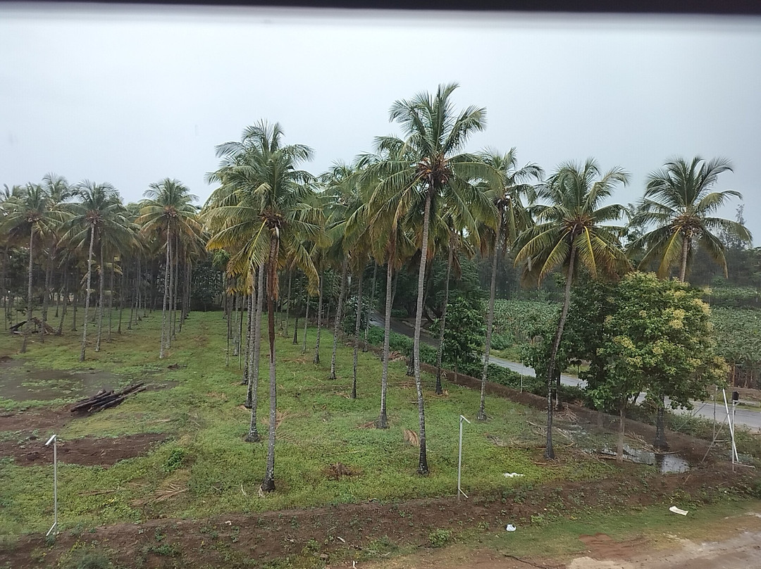 Adiyogi Shiva bust-孔巴托必去景点